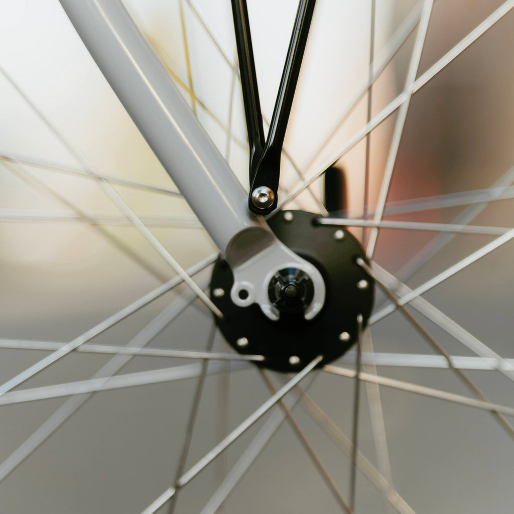 RAL Exposure - Trail Commuter Frameset