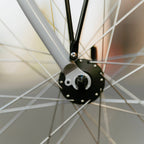 RAL Exposure - Trail Commuter Frameset