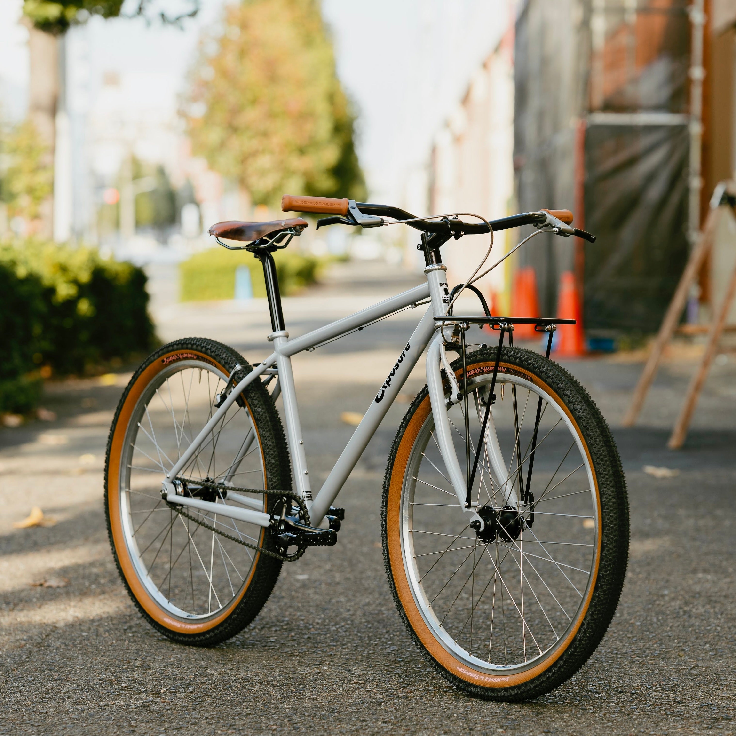 RAL Exposure - Trail Commuter Frame Set
