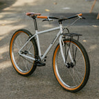 RAL Exposure - Trail Commuter Frameset