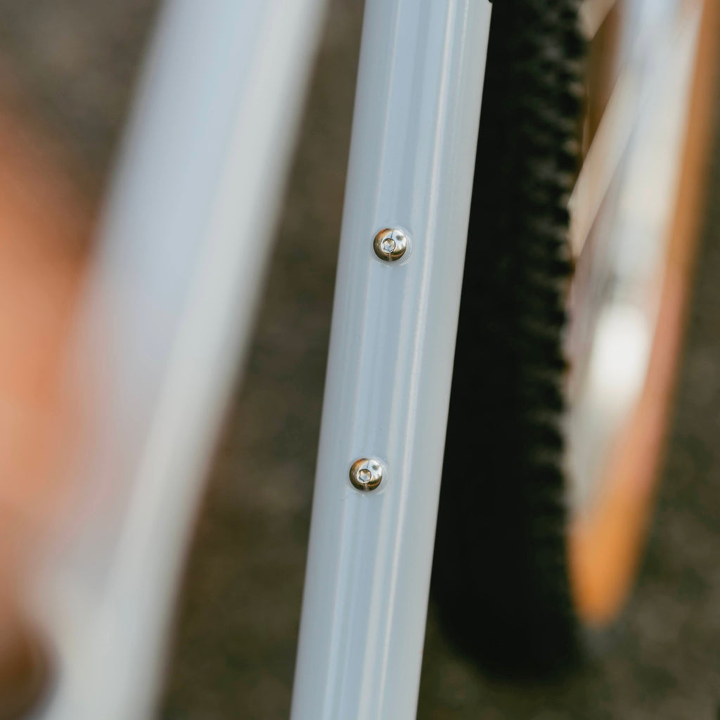 RAL Exposure - Trail Commuter Frameset