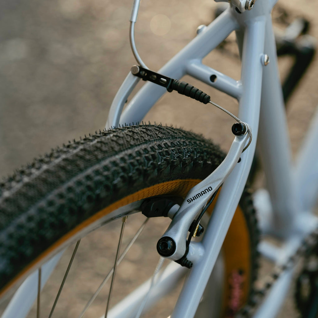 RAL Exposure - Trail Commuter Frameset