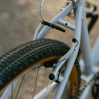 RAL Exposure - Trail Commuter Frameset