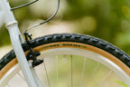 RAL Exposure Original Complete Bike - Single Speed