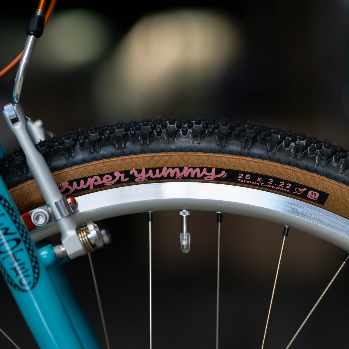 RETROTEC 26" Single Speed MTB Circles Original Complete Bike