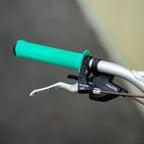 SURLY Disc Trucker Circles Original Complete Bike