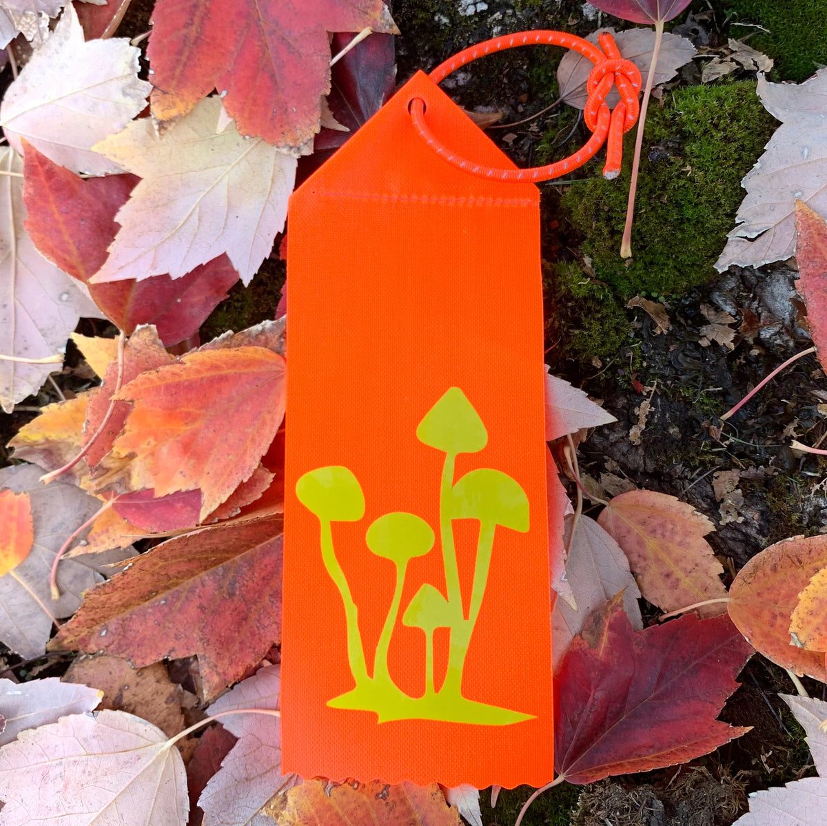SAFETY PIZZA Safety Ribbons