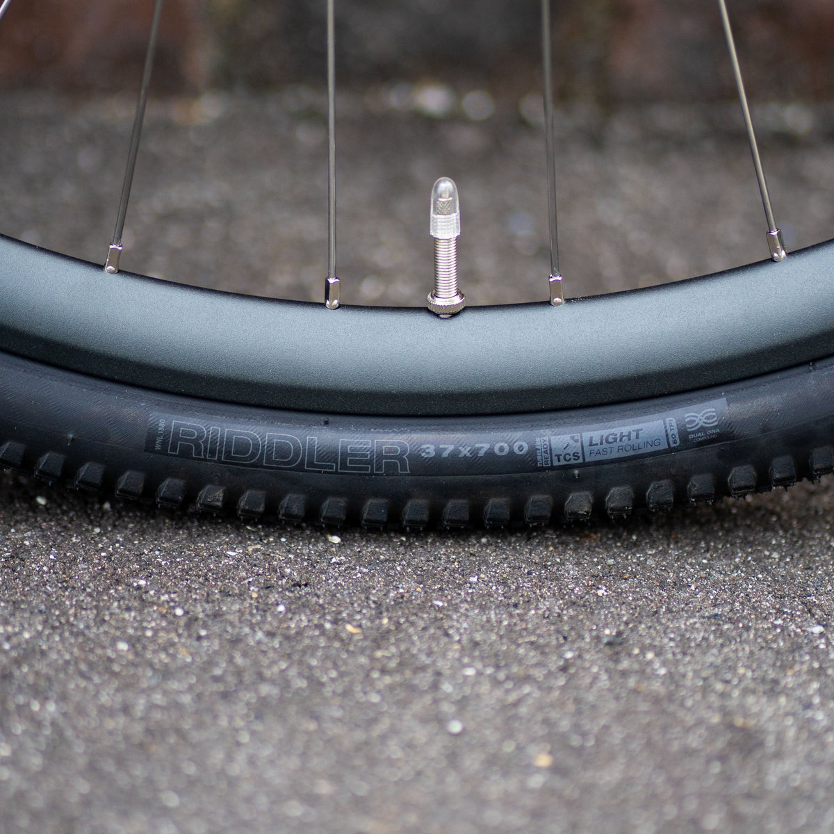 WILDE Rambler SL (M) Circles Original Complete Bike