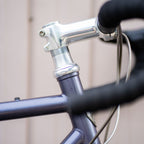 WILDE Rambler SL (M) Circles Original Complete Bike
