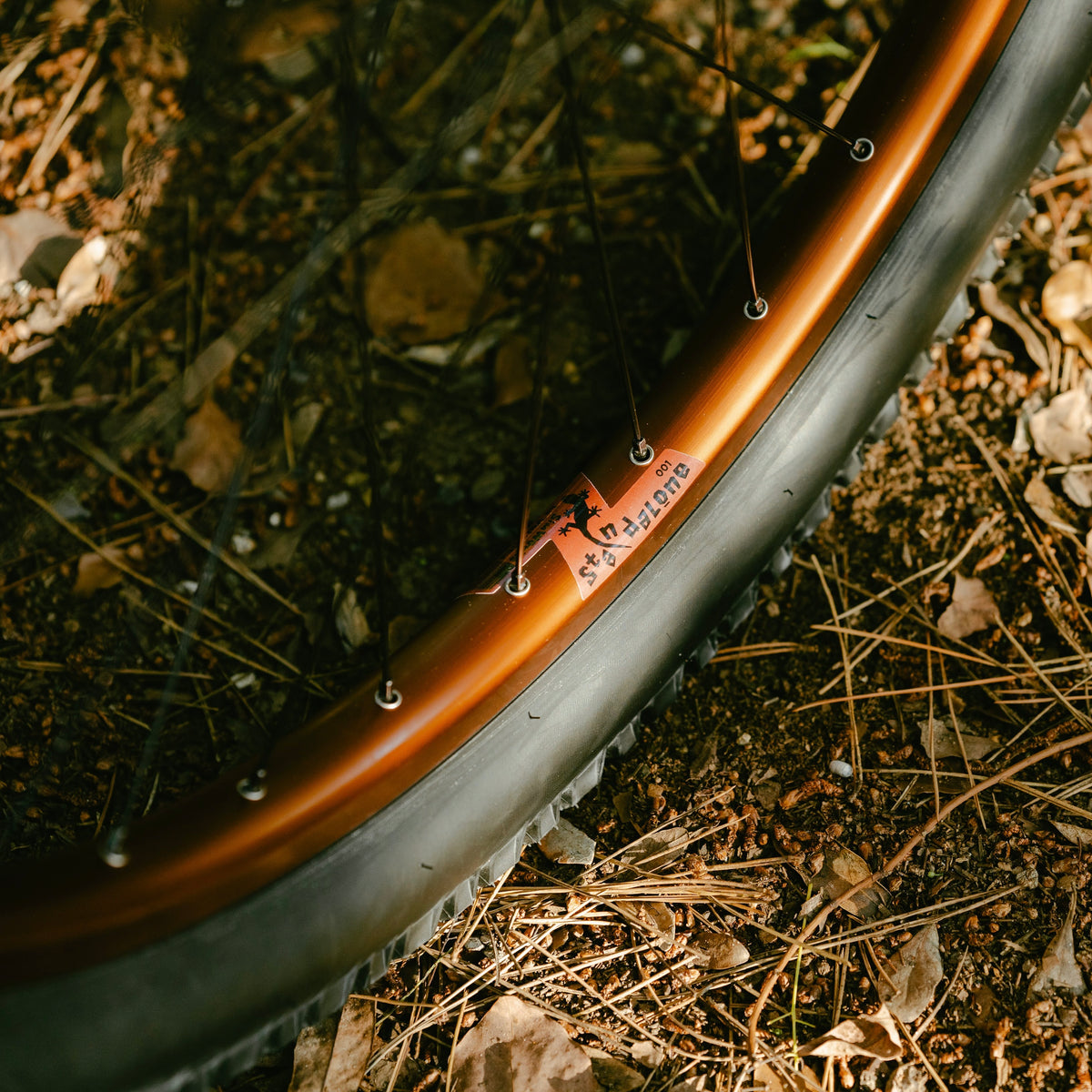 WILDE BICYCLE Supertramp Circles Original Complete Bike