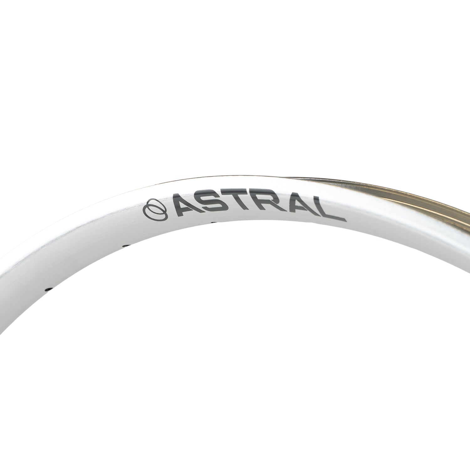 ASTRAL CYCLING Serpentine Rim - Matte Silver - 29"