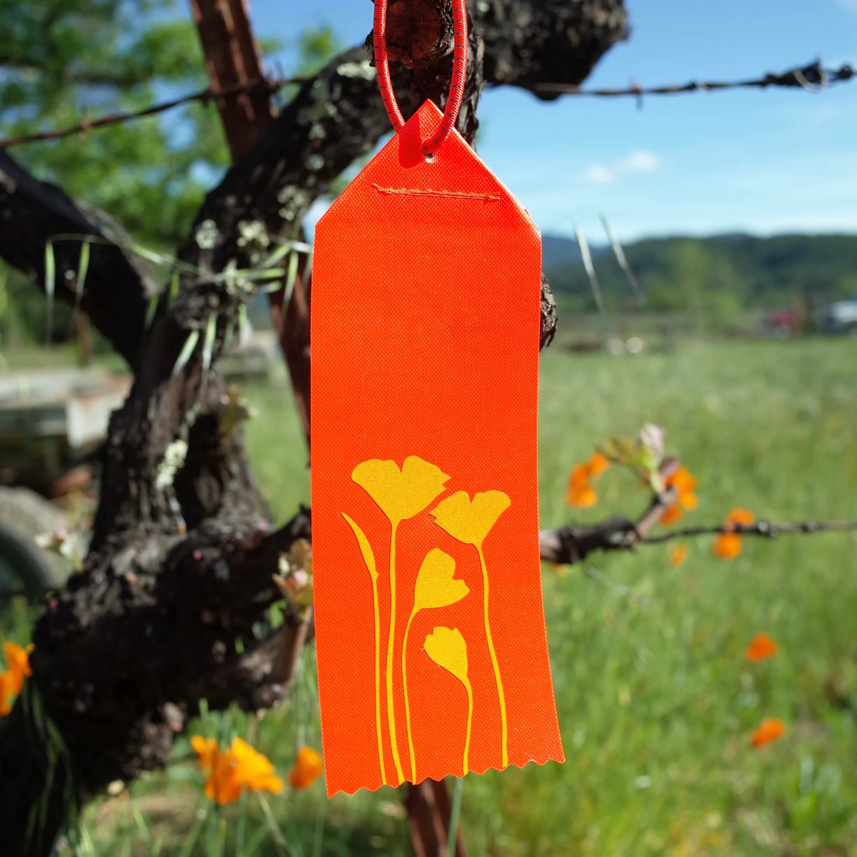 SAFETY PIZZA Safety Ribbons