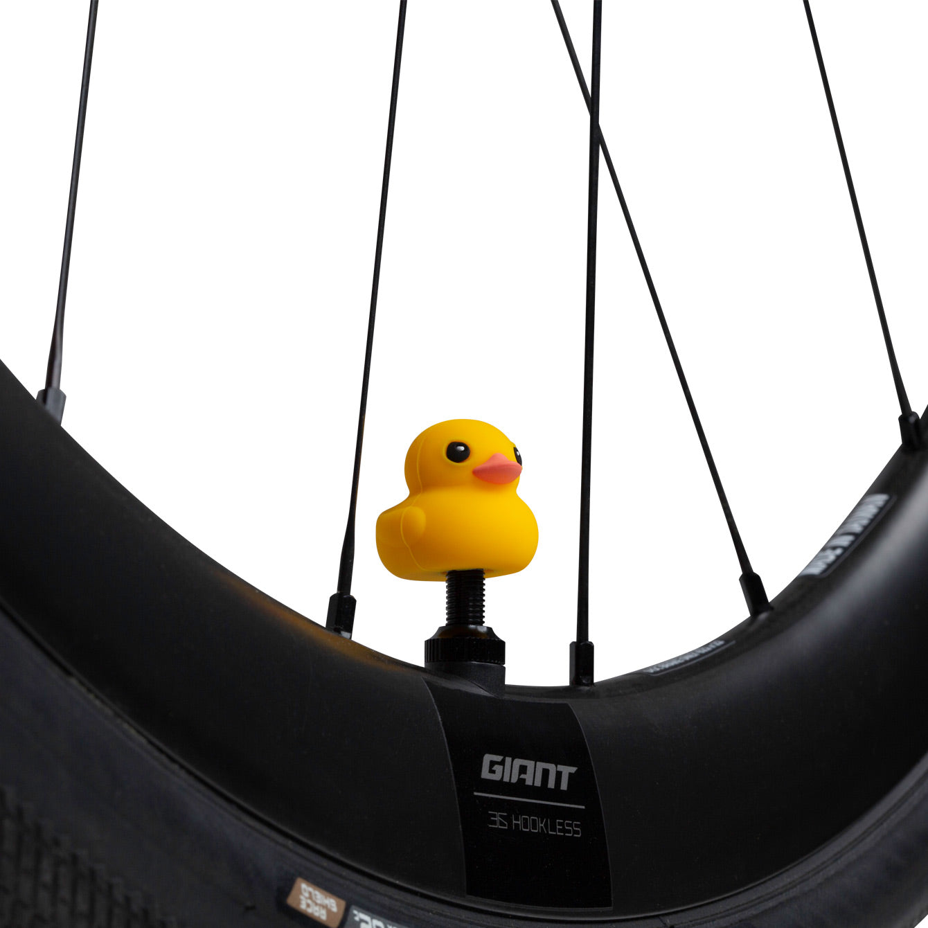 CIRCLES SELECT Character Valve Cap