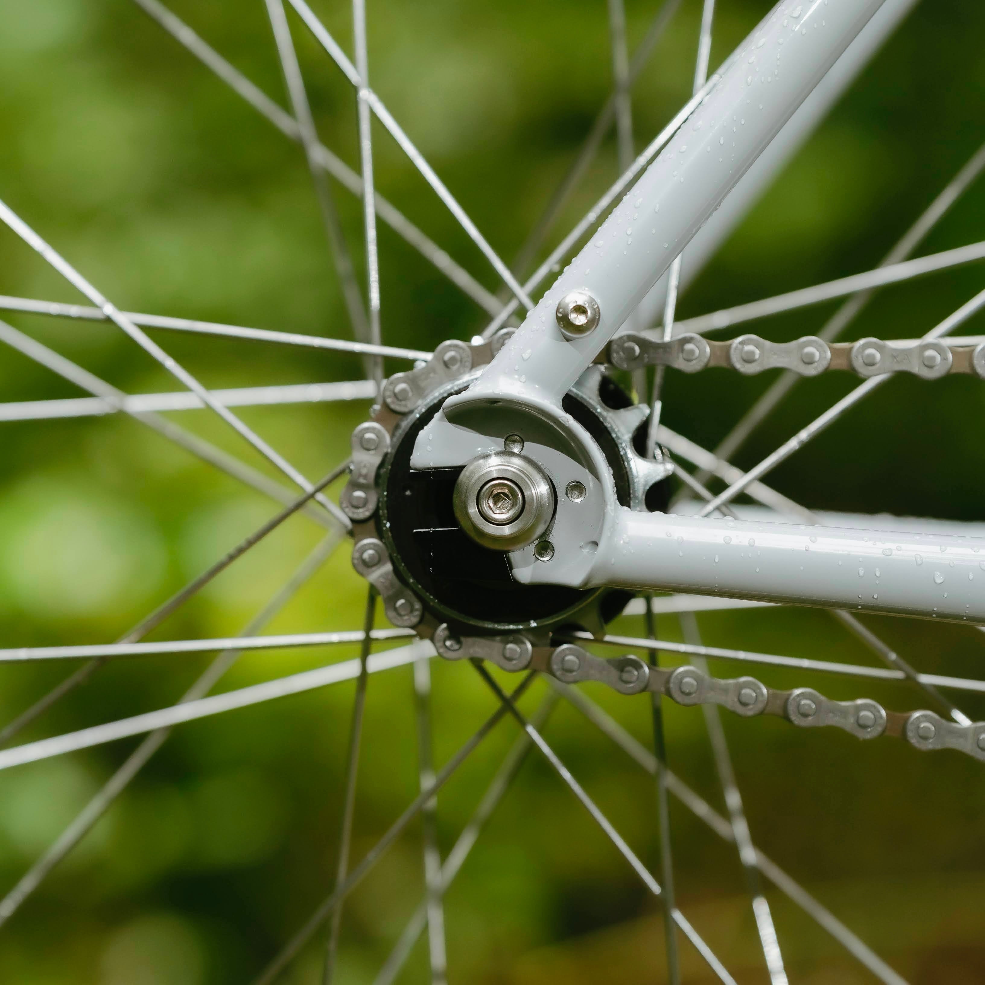 RAL Exposure - Trail Commuter Frame Set