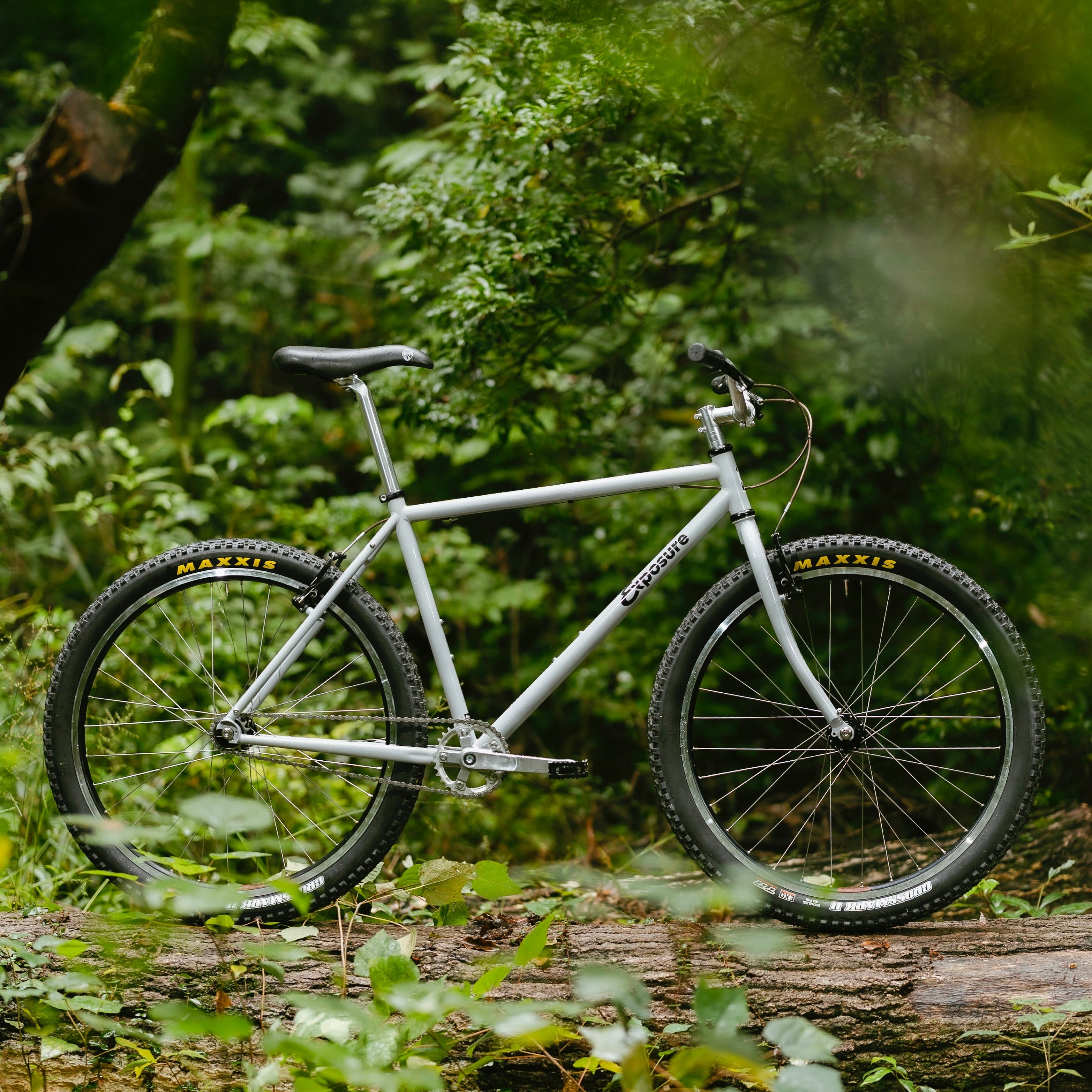 RAL Exposure - Trail Commuter Frame Set