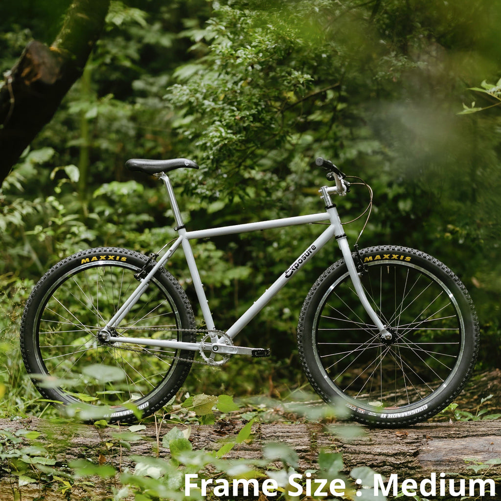 RAL Exposure - Trail Commuter Frameset
