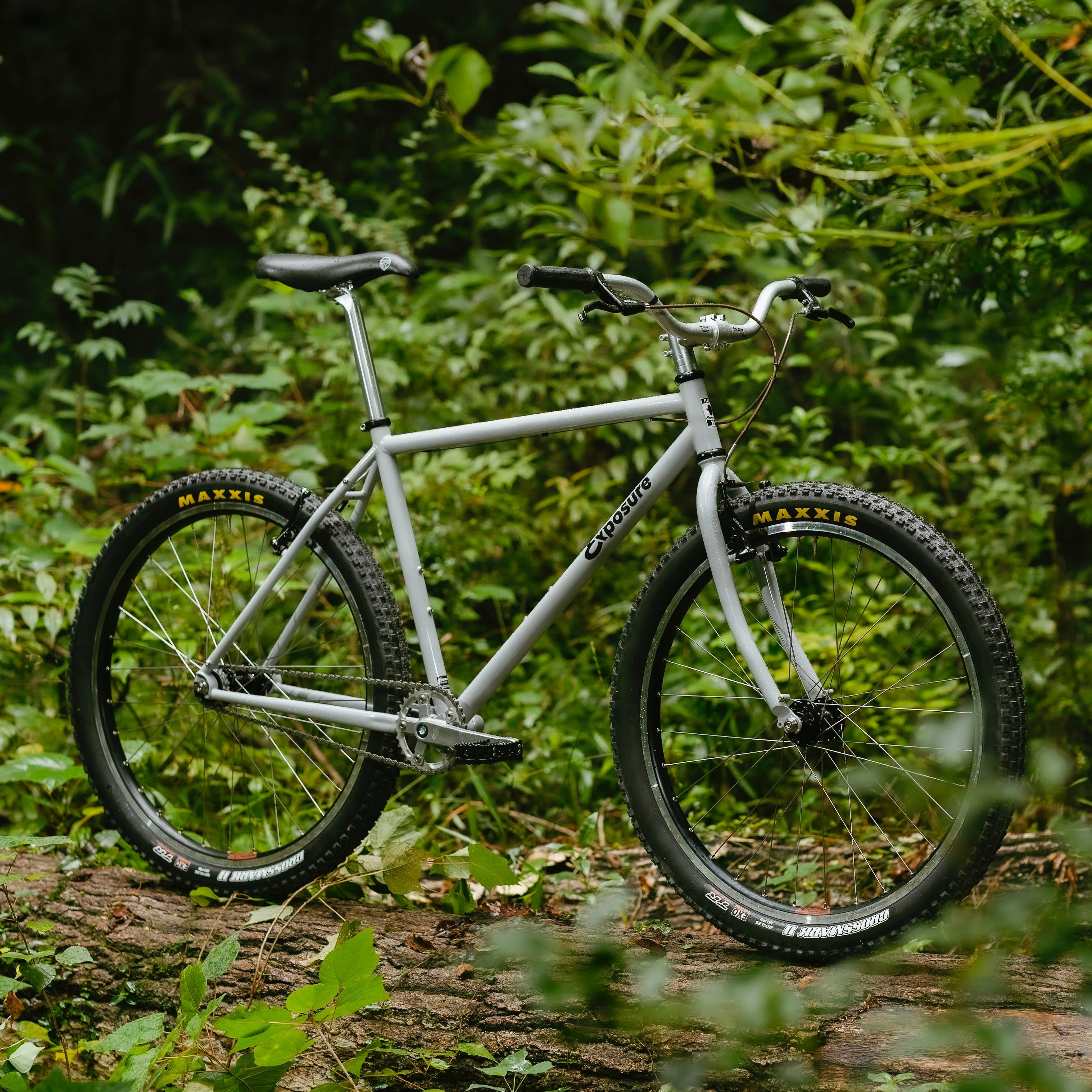 RAL Exposure - Trail Commuter Frame Set