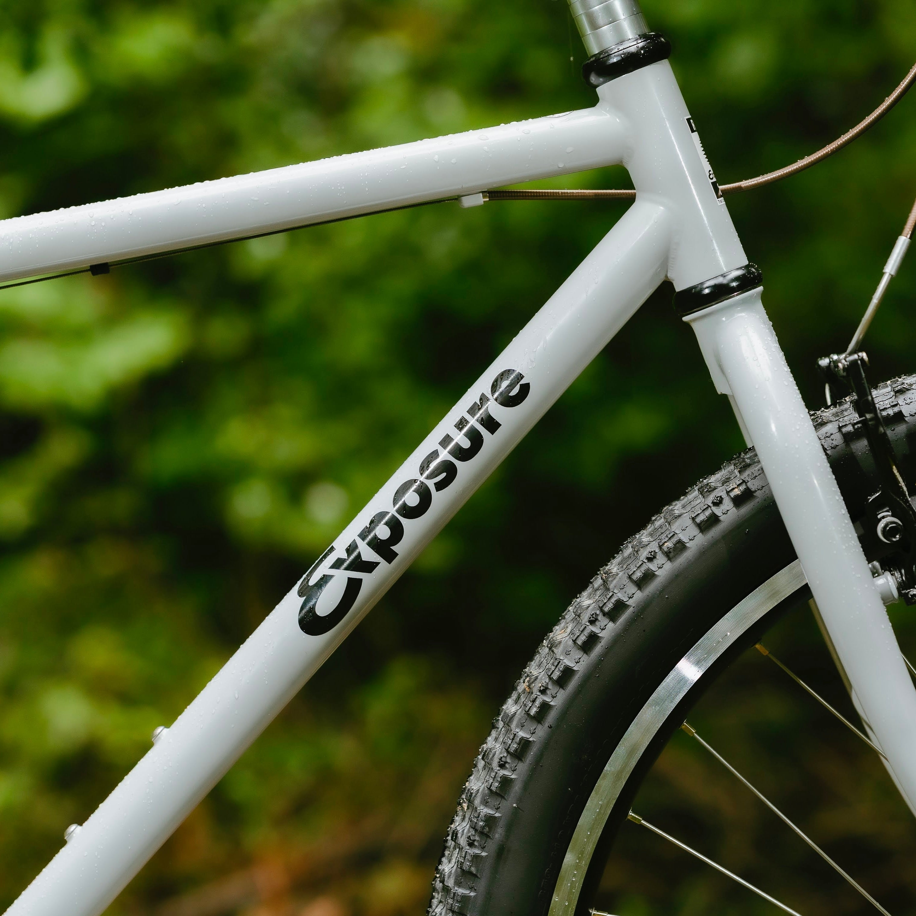RAL Exposure - Trail Commuter Frame Set