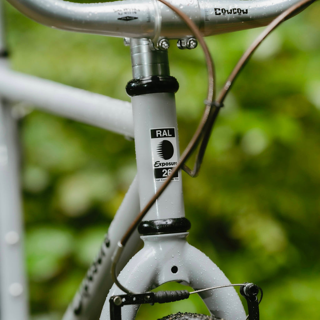 RAL Exposure - Trail Commuter Frameset