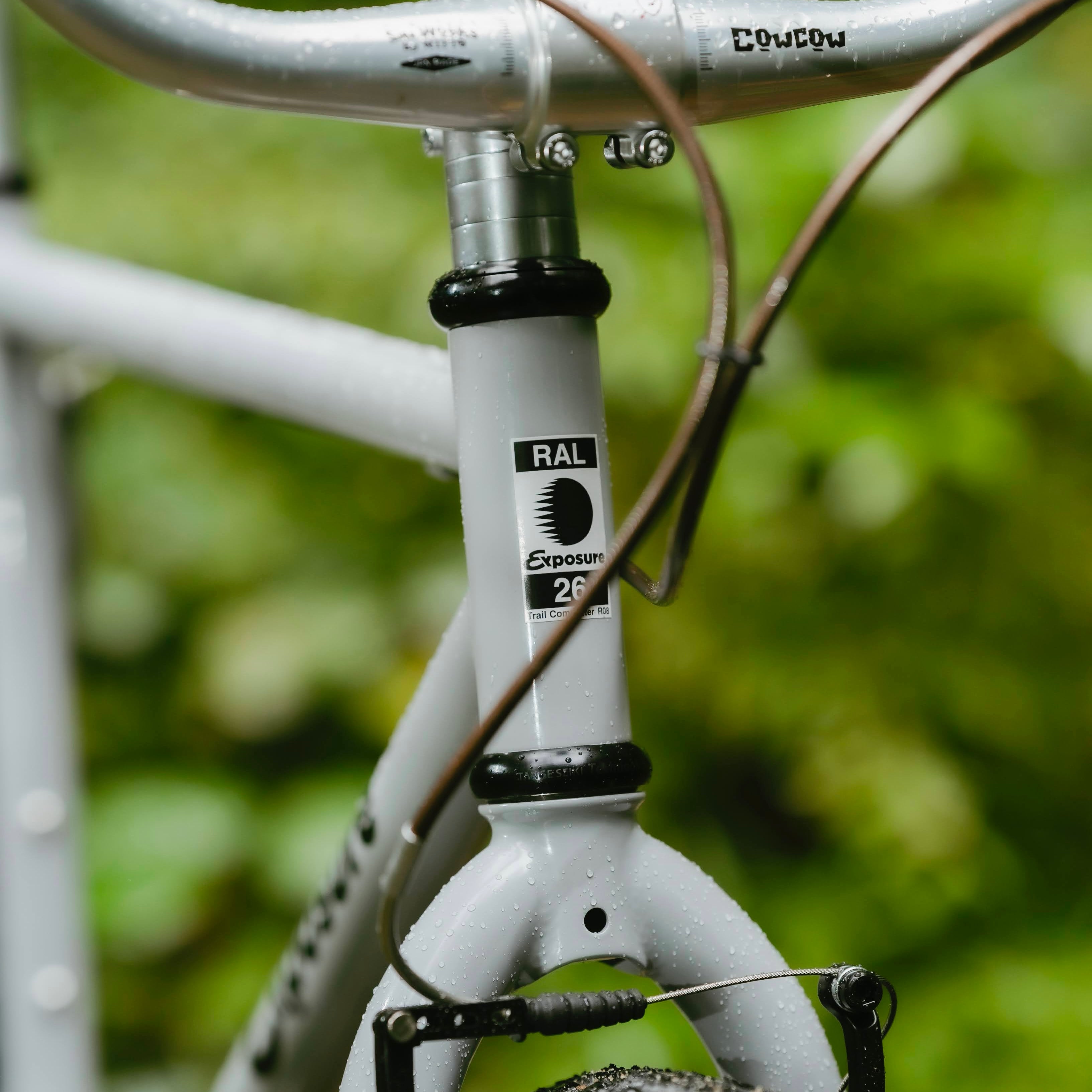 RAL Exposure - Trail Commuter Frame Set