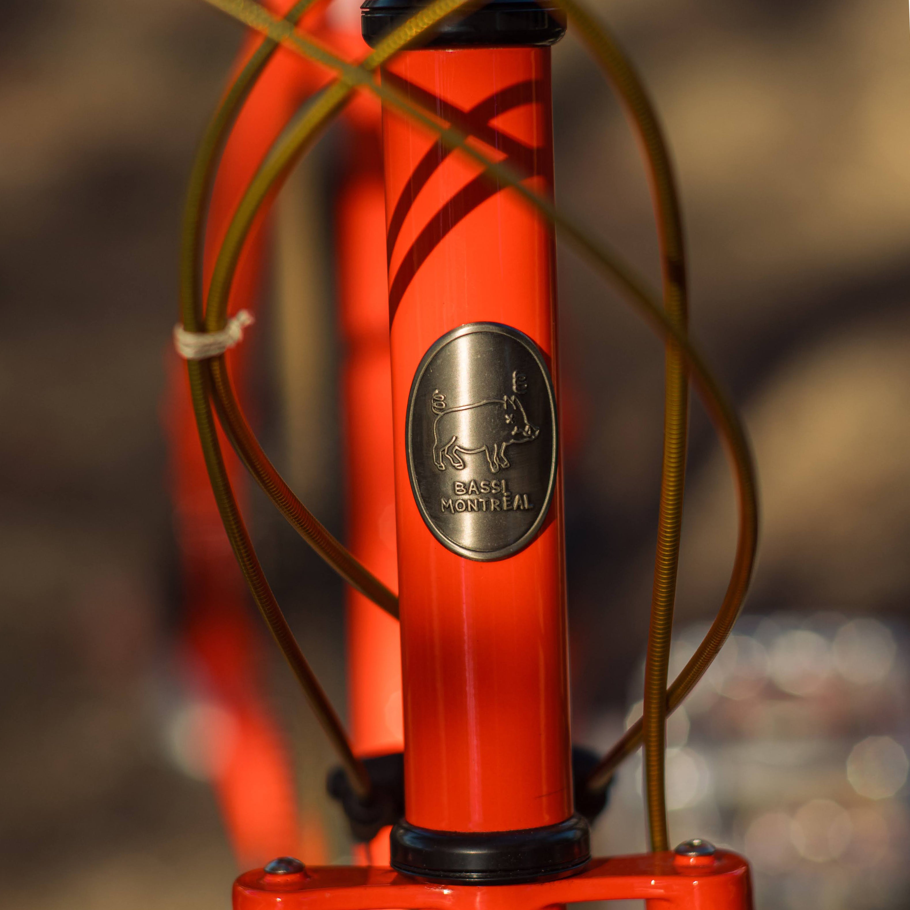 BASSI BIKES Hog's Back Complete Bike - Cool Ade