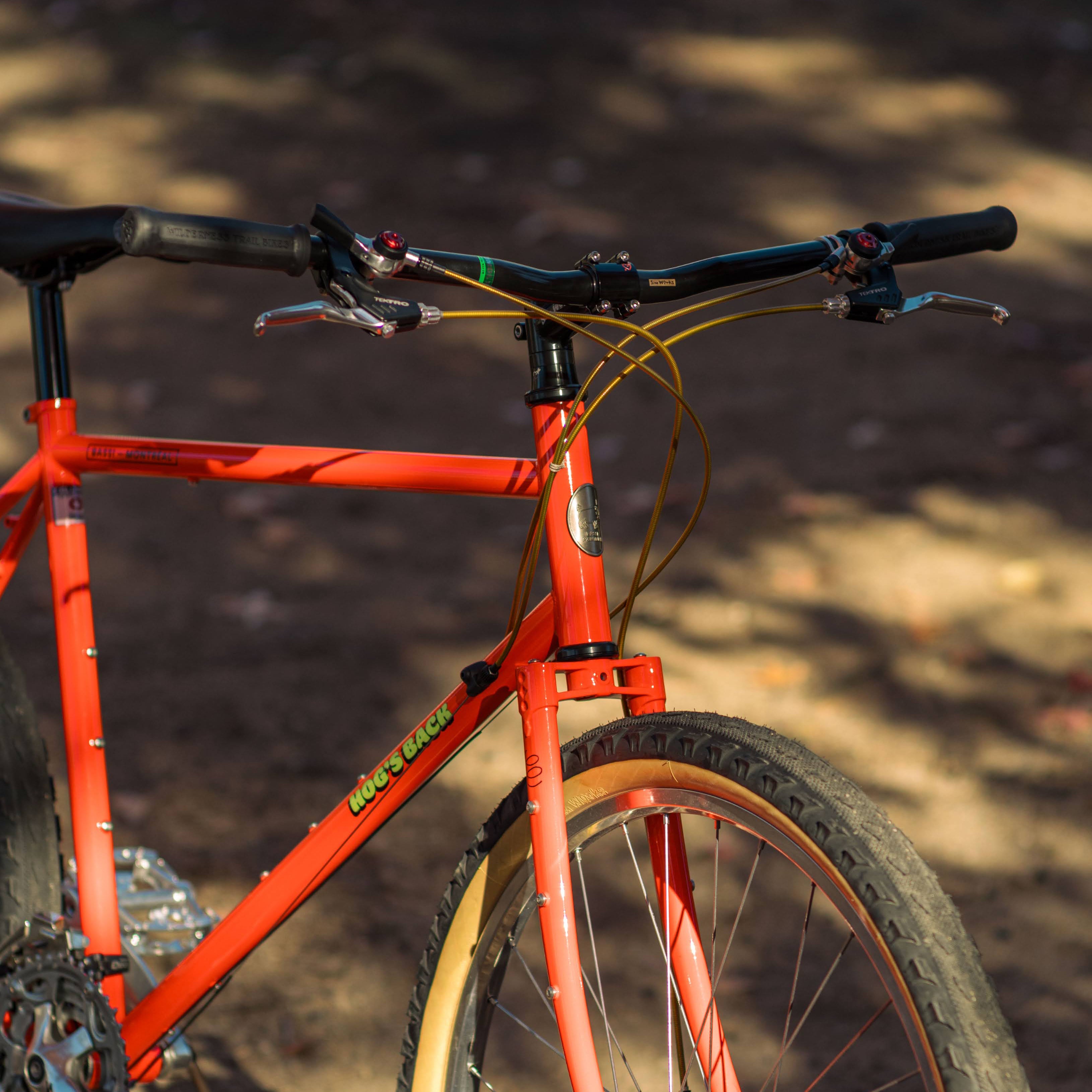 BASSI BIKES Hog's Back Complete Bike - Cool Ade