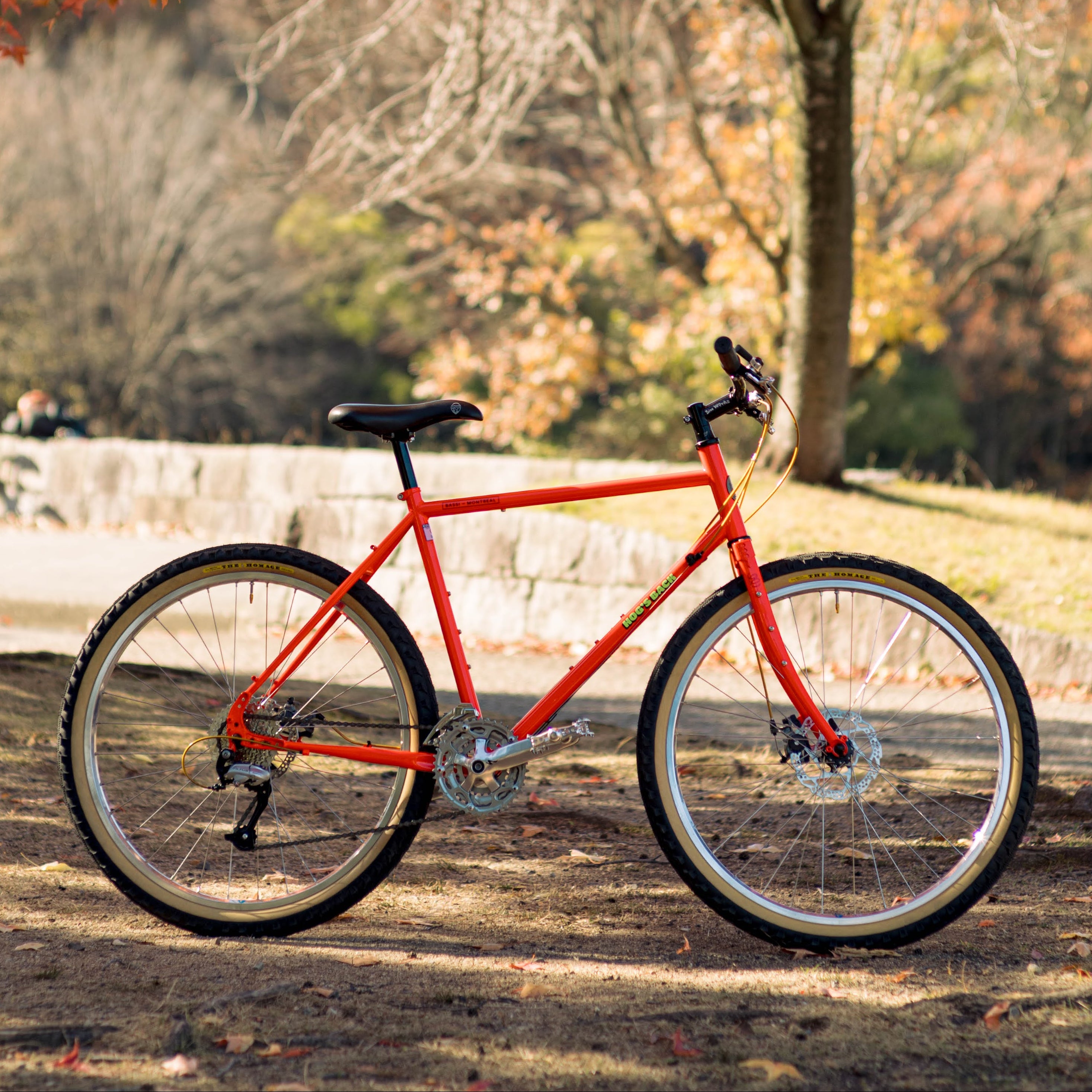 BASSI BIKES Hog's Back Complete Bike - Cool Ade