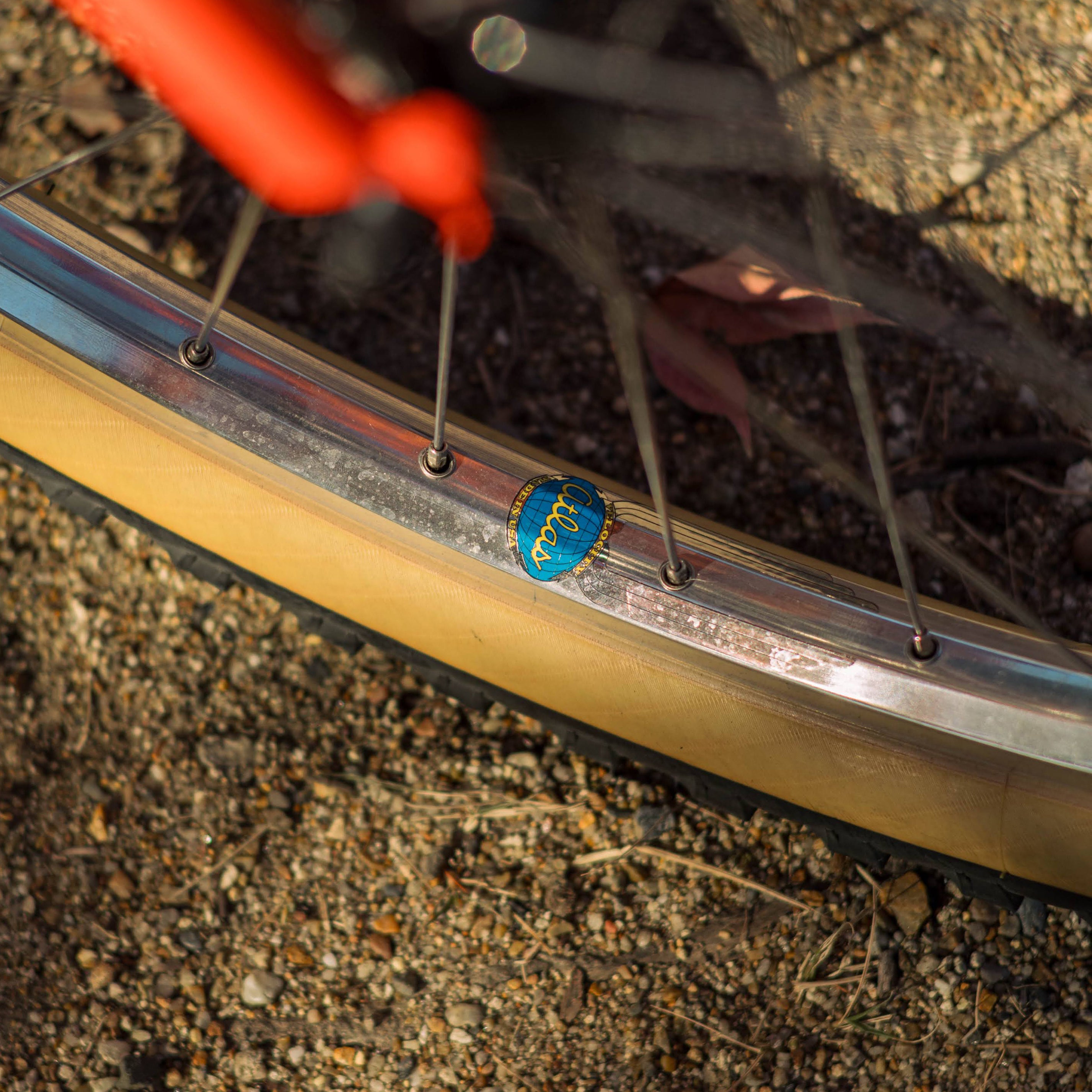 BASSI BIKES Hog's Back Complete Bike - Cool Ade