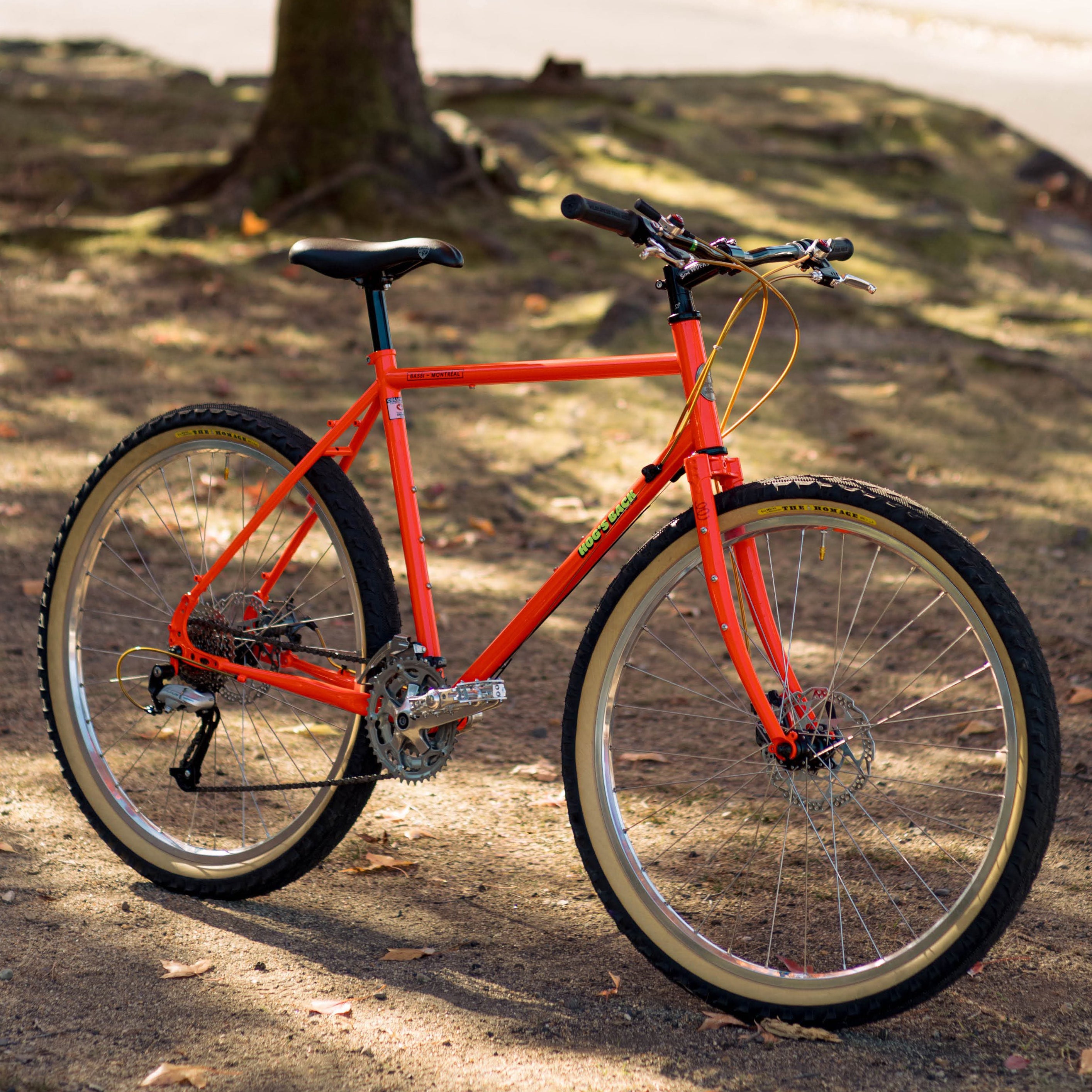 BASSI BIKES Hog's Back Complete Bike - Cool Ade