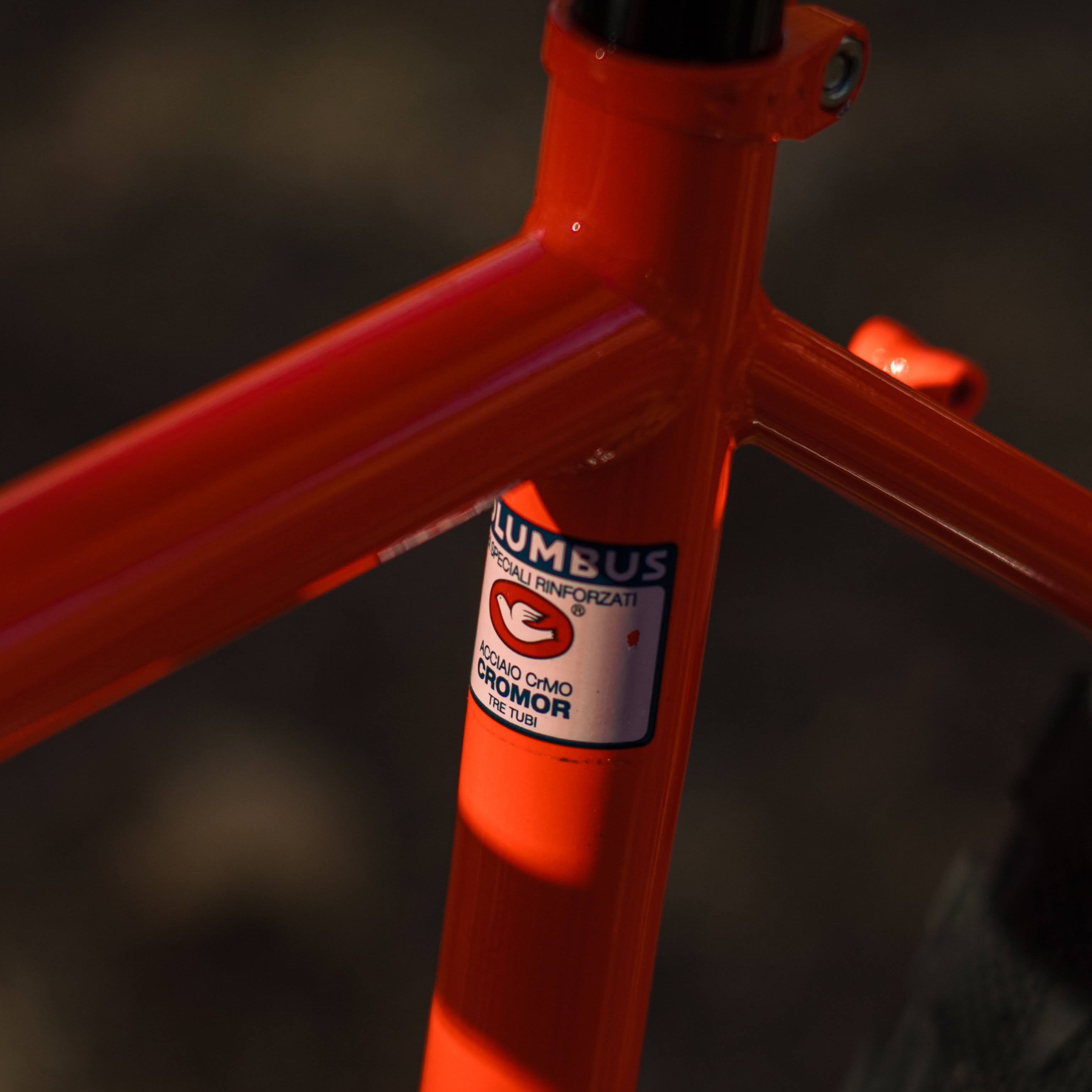 BASSI BIKES Hog's Back Complete Bike - Cool Ade