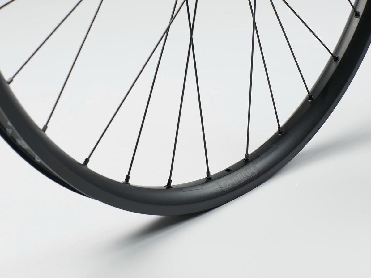 OMNIUM DT Swiss Cargo Wheel Set