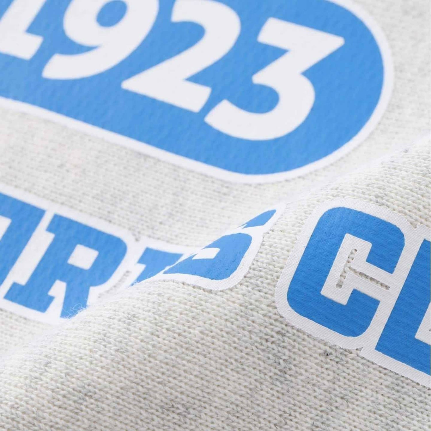 CHAMPION NITTO Collage Logo