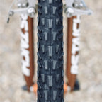 PANARACER Dart Classic