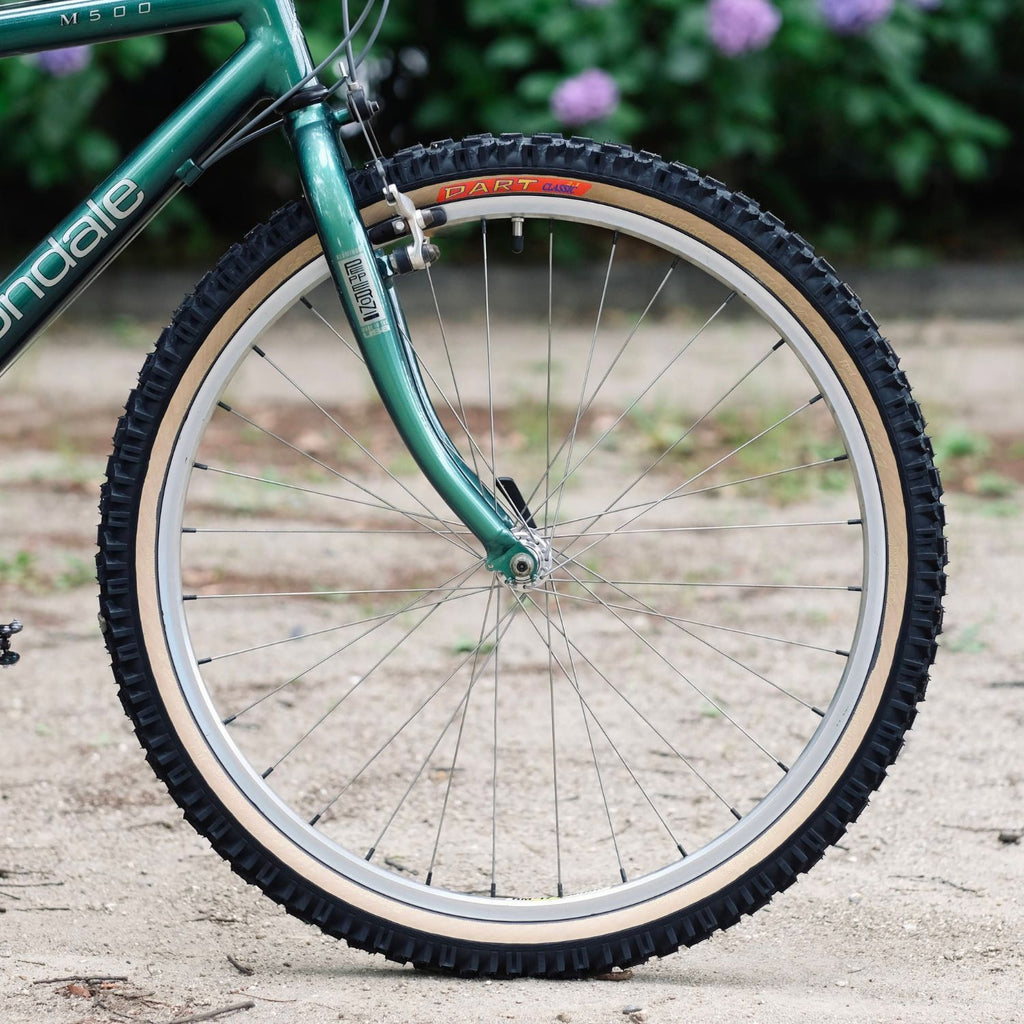 PANARACER Dart Classic