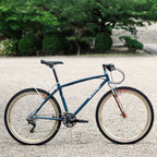 PANARACER Dart Classic