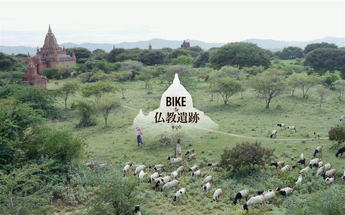 Bike to 仏教遺跡