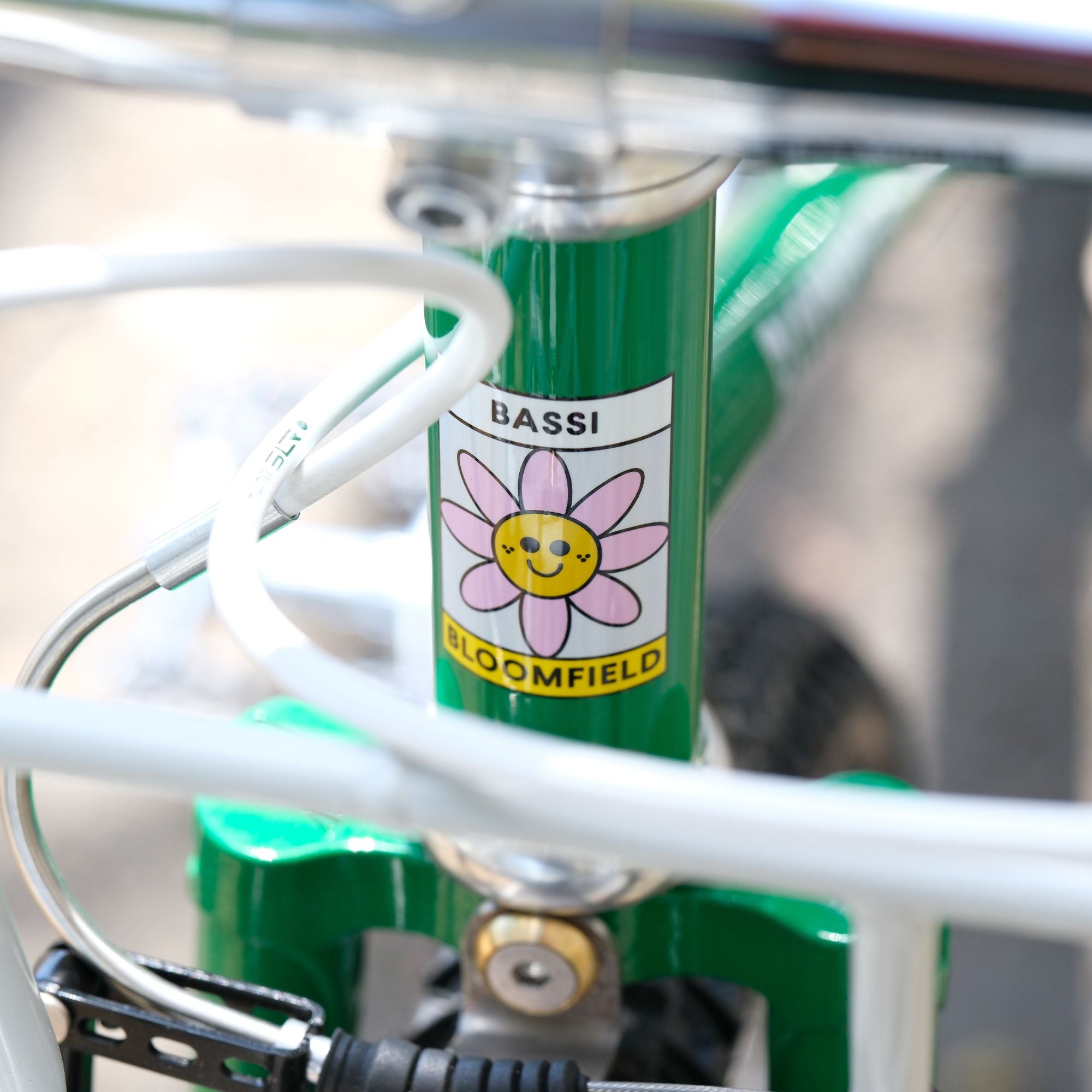 BASSI BIKES Bloomfield for Daily Life