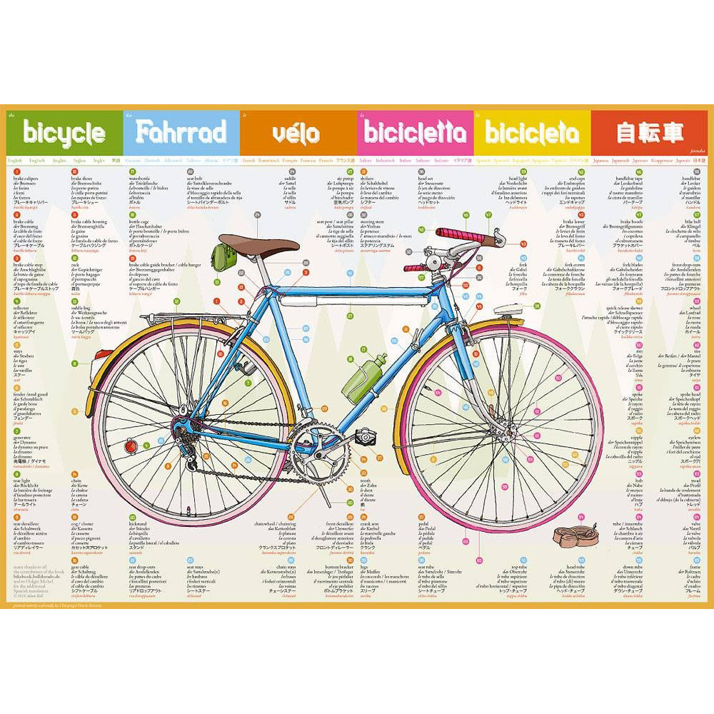 ADAM'S Bicycle Poster
