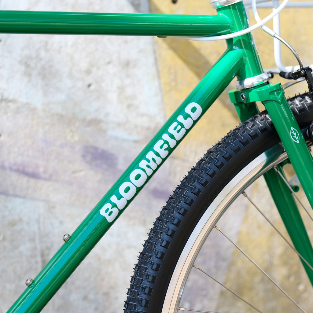 BASSI BIKES Bloomfield for Daily Life