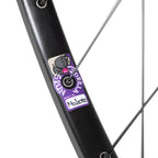 GORILLA SPUN Build Wheel [H PLUS SON TB14 x SHIMANO Tiagra RS400]