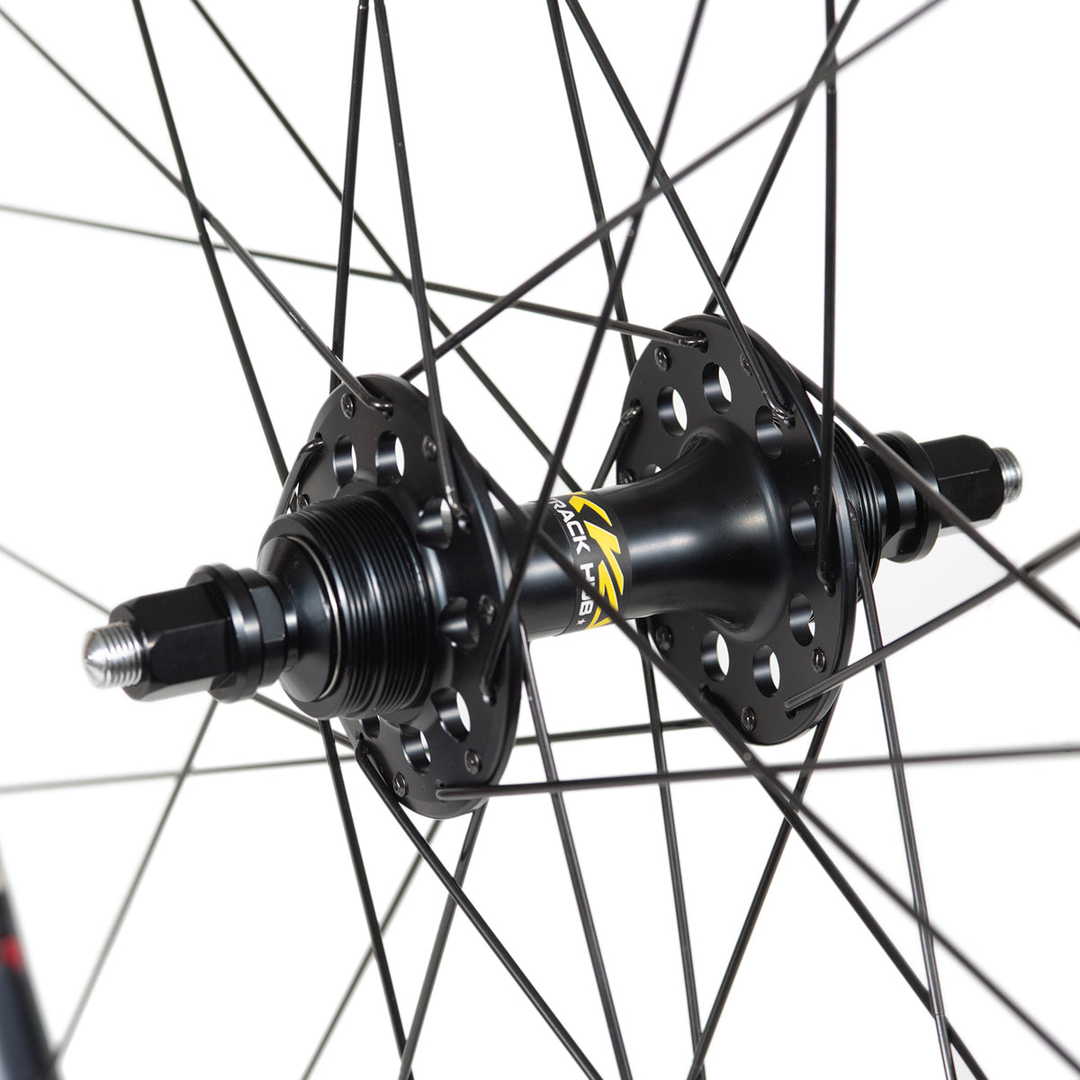 GORILLA SPUN Build Wheel H PLUS SON TB14 x SHIMANO Tiagra RS400