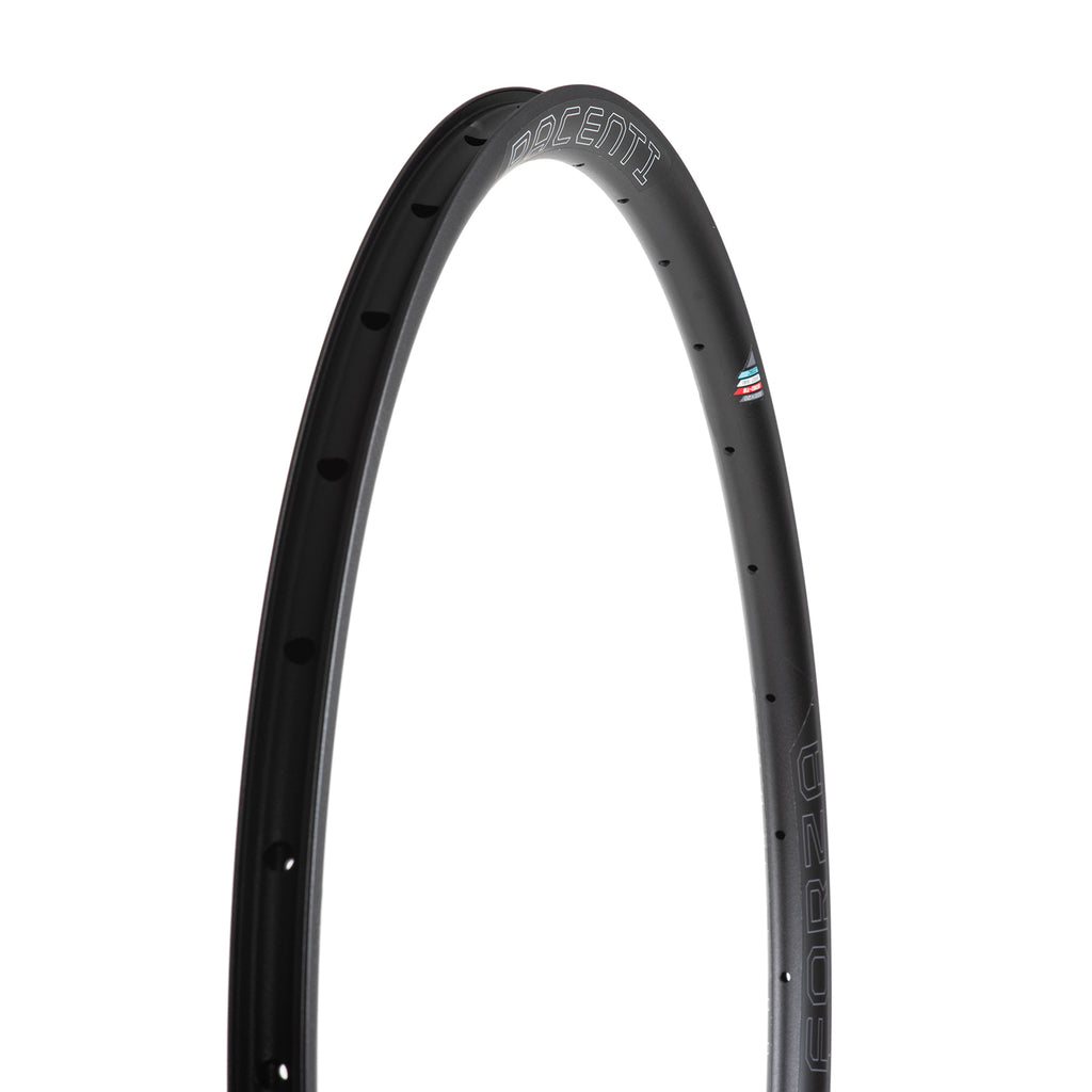 PACENTI Forza Rim Asymmetrical Disc