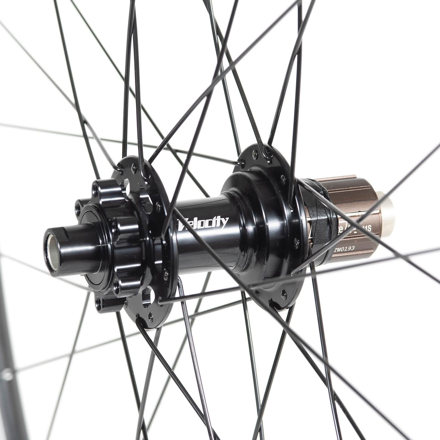 GORILLA SPUN Build Wheel [DT SWISS RR411 x VELOCITY Race Disc Hub]