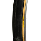 GRANDBOIS Hetre / 650×42B