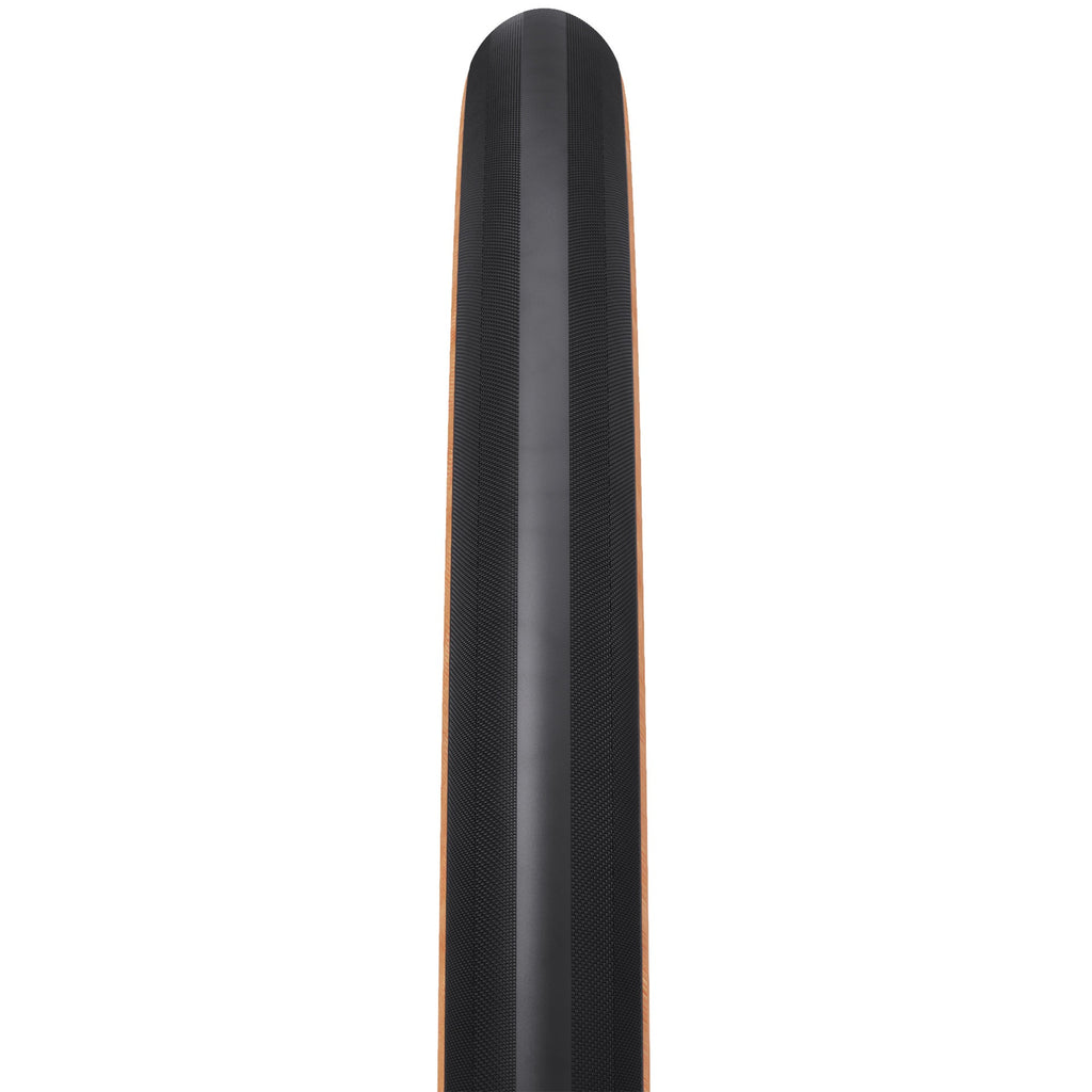 WTB Exposure 36