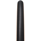 WTB Exposure 36