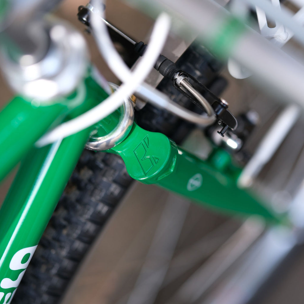 BASSI BIKES Bloomfield for Daily Life