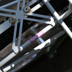 BASSI BIKES Bloomfield for Daily Life