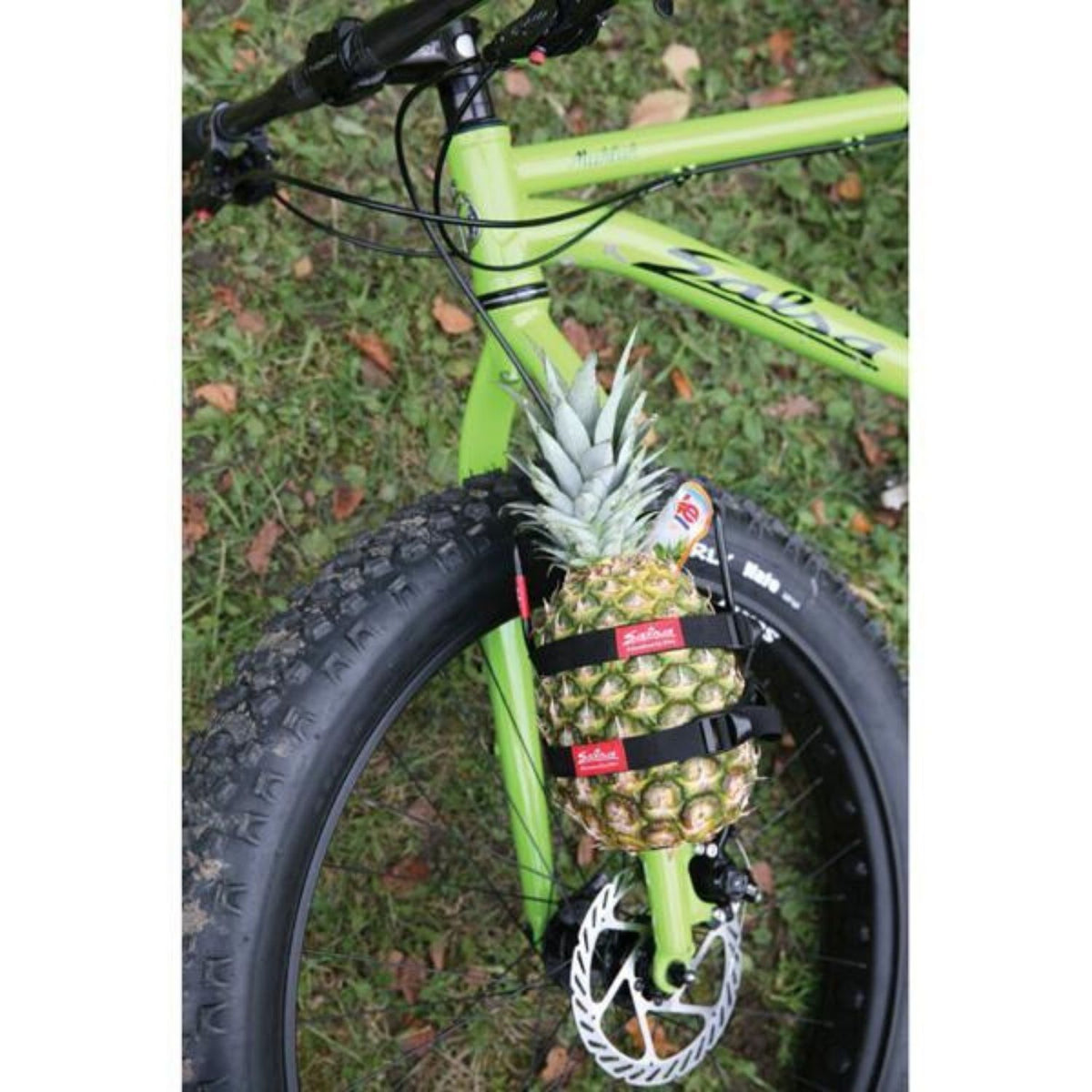 SALSA CYCLES Anything Cage