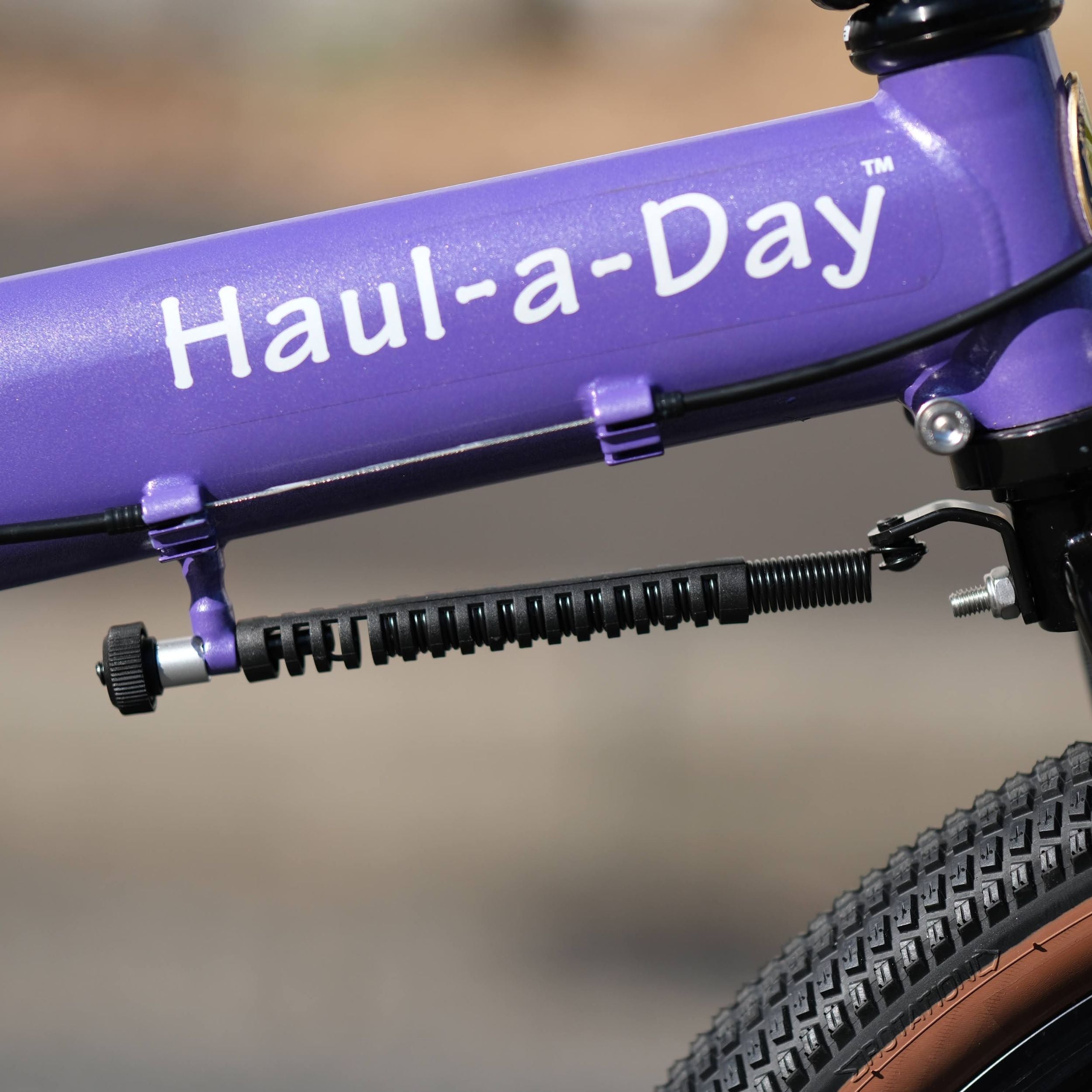 BIKE FRIDAY Haul-A-Day Circles Original Complete Bike
